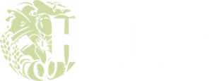 Hayleys Logo